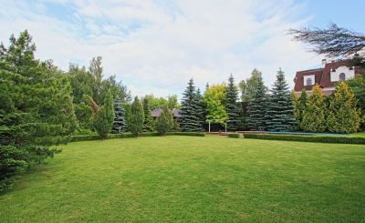 photo 69cbcff53345a_thumb.jpg