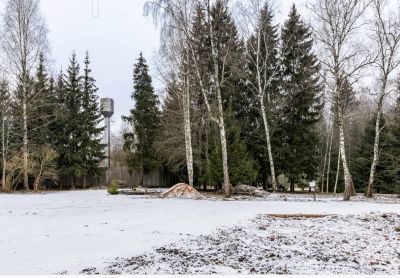 photo 6989b0f67d024_thumb.jpg