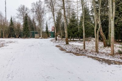 photo 6989b0f6cf36e_thumb.jpg