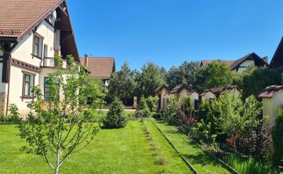 photo 6989c2627c3ac_thumb.jpg