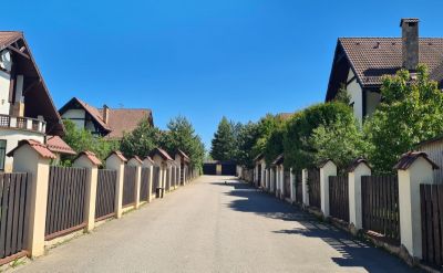 photo 6989c262a5553_thumb.jpg