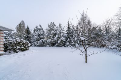 photo 69a005dbba92c_thumb.jpg