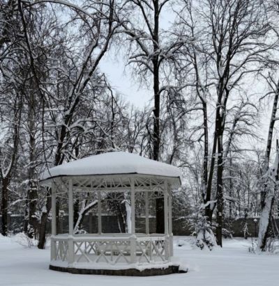 photo 69afdbe4aaec8_thumb.jpg