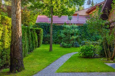 photo 69b178ba4e6d9_thumb.jpg