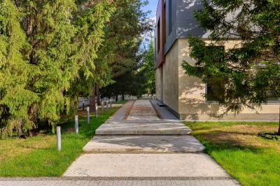 photo 69cf9c7e3f65b_thumb.jpg