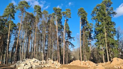 photo 12812_67dc1c5fbdc41_thumb.jpg