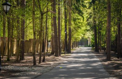 photo 69d3c21be4c02_thumb.jpg