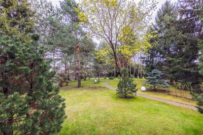 photo 69d7ad239f73d_thumb.jpg