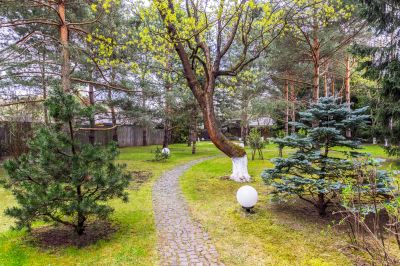 photo 69d7ad27d0eaf_thumb.jpg