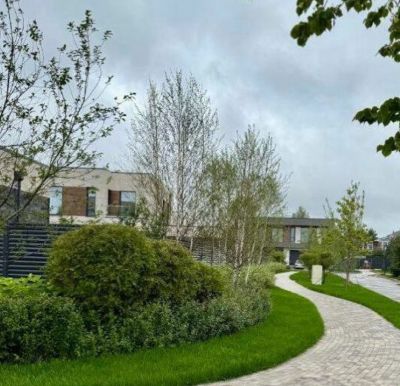 photo 12834_12257_68a6fc8bf404f_thumb.jpg