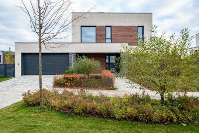 photo 12834_69a047786db8b_thumb.jpg