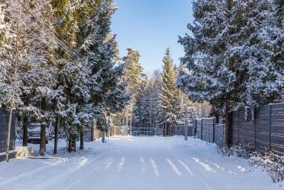 photo 69e22e74587e3_thumb.jpg