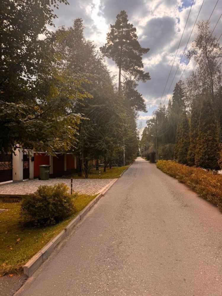 Лесной участок в КП Грибово - фото 6