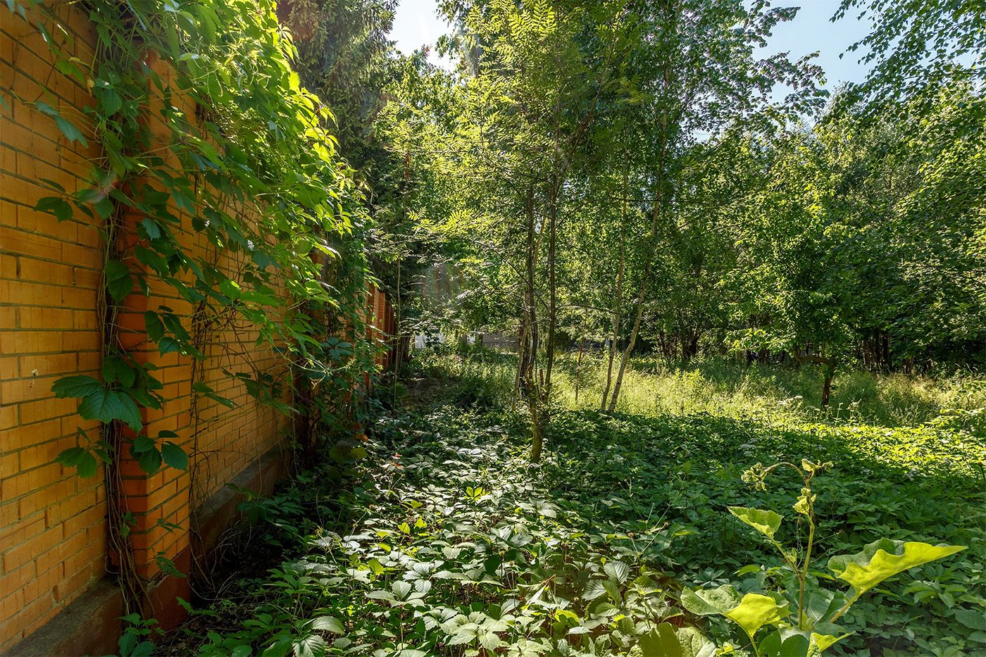 Земельный участок в Шульгино - фото 4