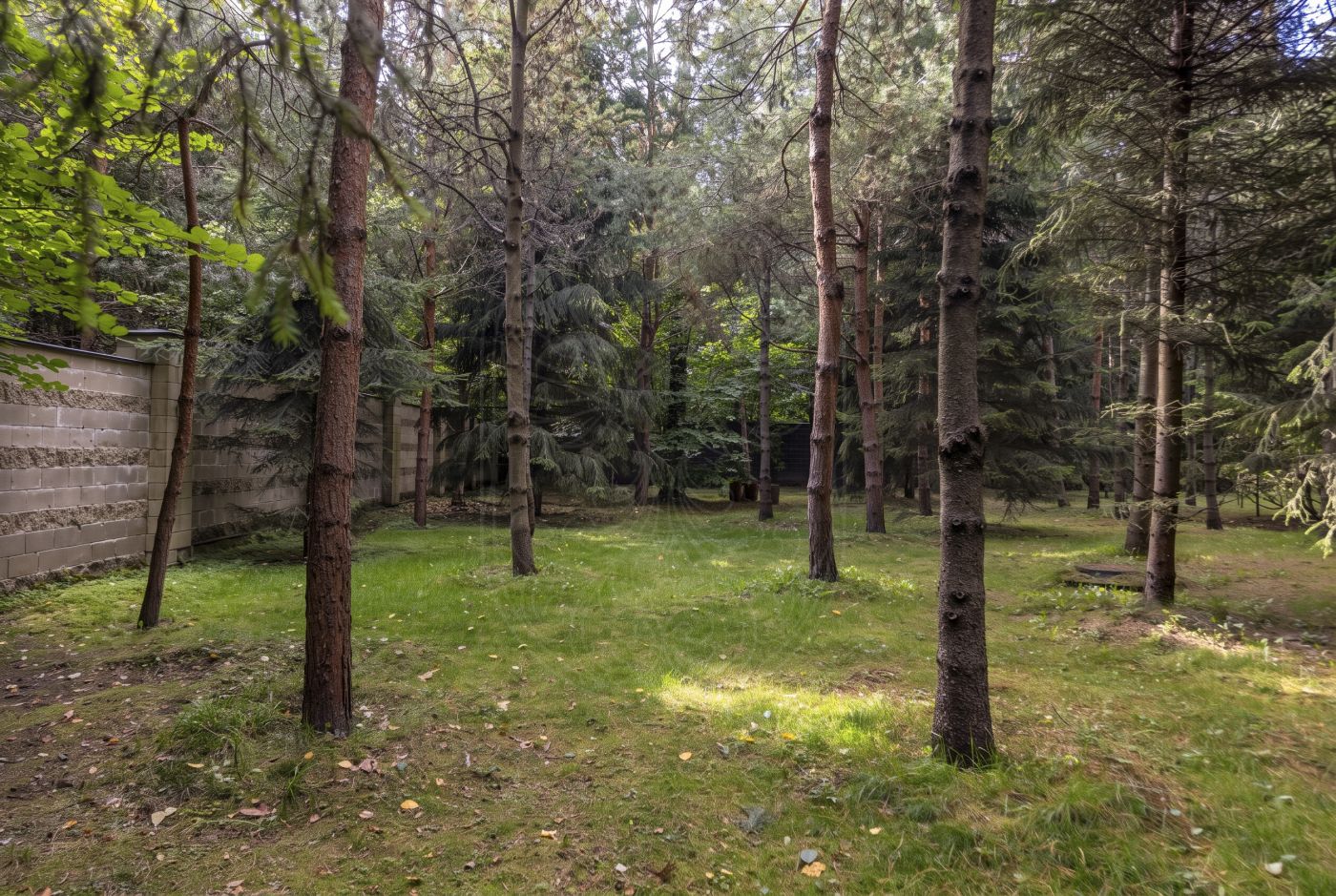Дом в КП "Лесной ручей-2" - фото 3