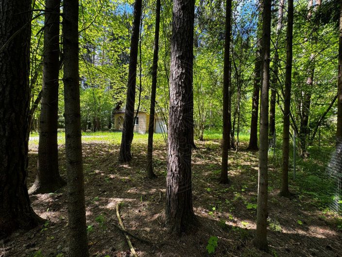 Лесной участок в КП Успенские Дачи - фото 4