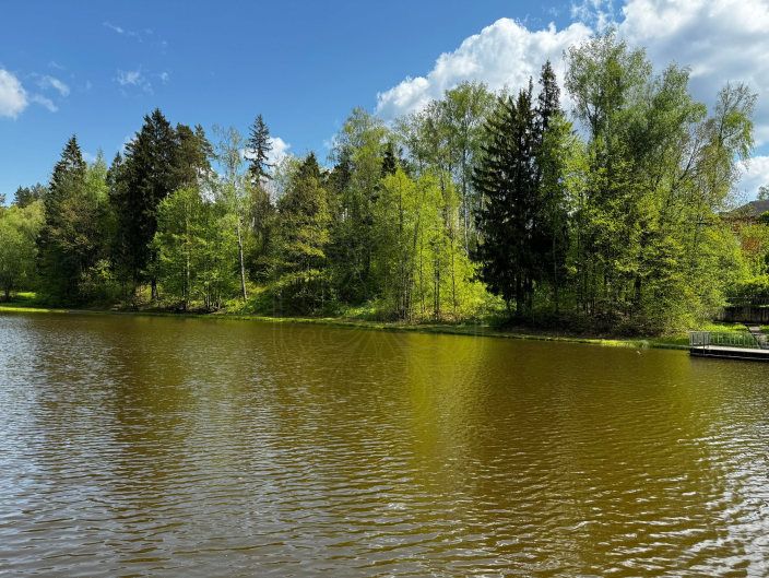 Лесной участок в КП Успенские Дачи - фото 5