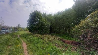 photo 64b5315d98fbc_thumb.jpg