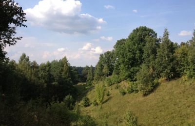 photo 63bdba0ebdca7_thumb.jpg