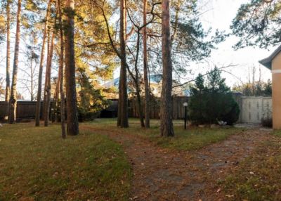 photo 63bdba137d312_thumb.jpg