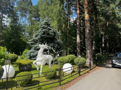 photo 685c5ed134616_thumb.jpg