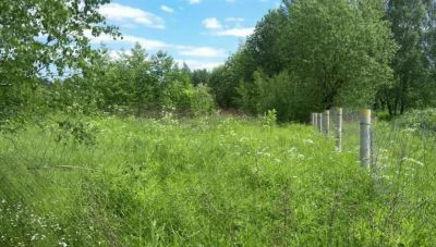 photo 63bdbb0196a29_thumb.jpg