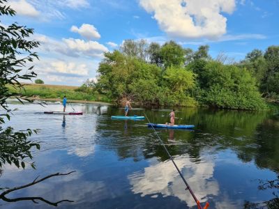 photo 63bdbb1ec901e_thumb.jpg