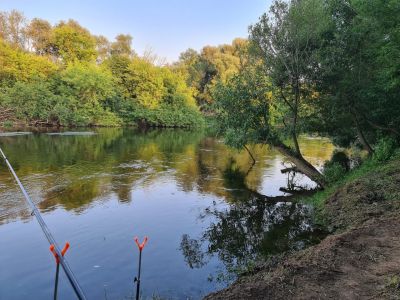 photo 63bdbb1f7b7fc_thumb.jpg