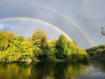 photo 63bdbb218b13f_thumb.jpg