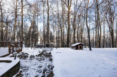 photo 63bdbb24c069e_thumb.jpg