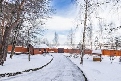 photo 63bdbb270a74d_thumb.jpg