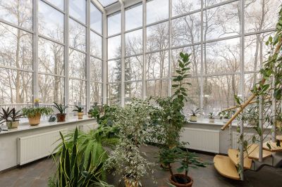 photo 63bdbb2ec1e61_thumb.jpg