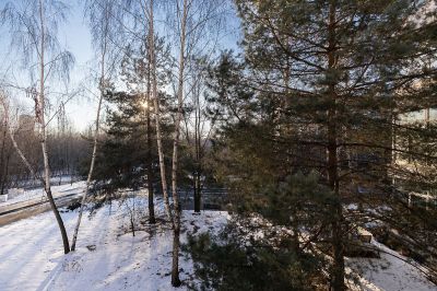 photo 63bdbb4f20aa2_thumb.jpg