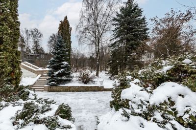 photo 63bdbb9c97475_thumb.jpg