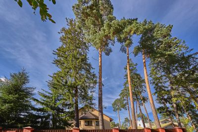 photo 63bdbbcc3581b_thumb.jpg