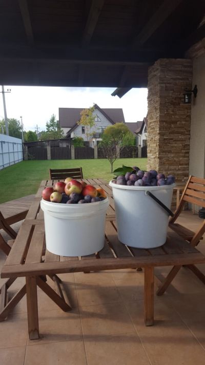 photo 63bdbc5d68063_thumb.jpg