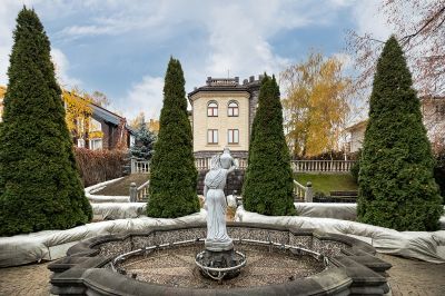 photo 63bdbe827101a_thumb.jpg