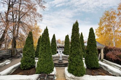 photo 63bdbe847d2aa_thumb.jpg