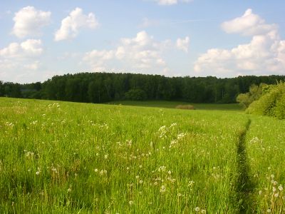 photo 63bdbf2e9b0ab_thumb.jpg