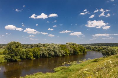 photo 63bdbf75d7210_thumb.jpg