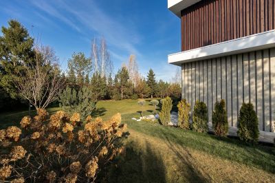 photo 63bdbfc9244f4_thumb.jpg