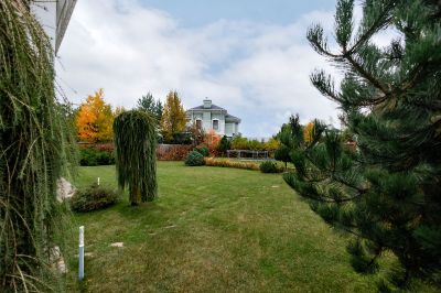 photo 63bdc111aa9f2_thumb.jpg