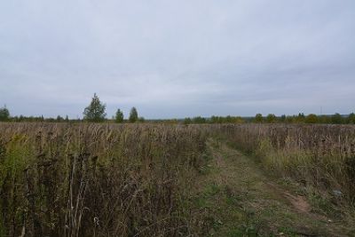 photo 63bdc12349ad2_thumb.jpg