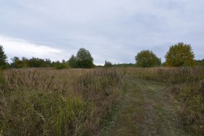 photo 63bdc123a509c_thumb.jpg