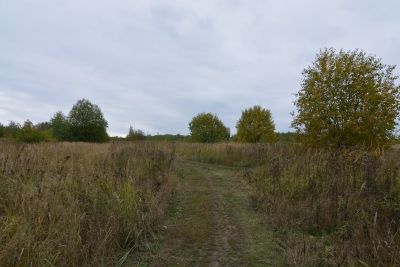 photo 63bdc123d2e17_thumb.jpg