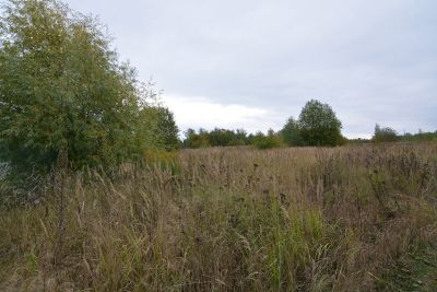 photo 63bdc1249b87b_thumb.jpg