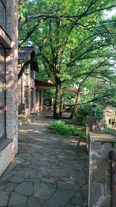 photo 63bdc161c9e83_thumb.jpg