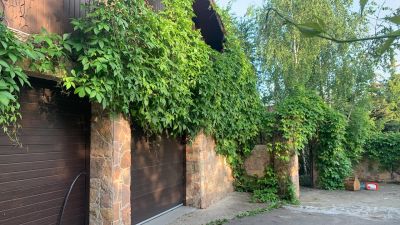 photo 63bdc1642e157_thumb.jpg