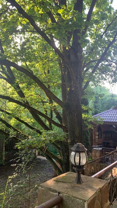 photo 63bdc16557acc_thumb.jpg