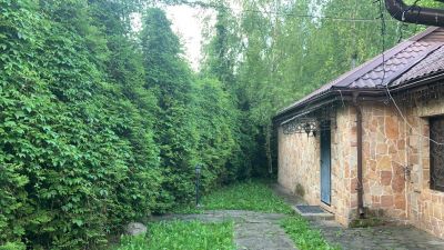 photo 63bdc165ccc54_thumb.jpg